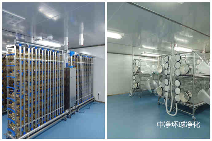 動物房設計建造